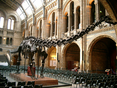 Museo de Historia Natural